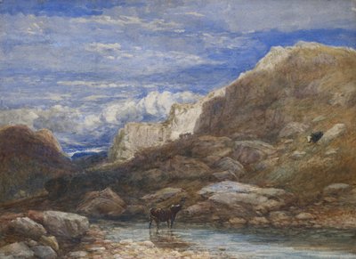 The Challenge, 1853 by David Cox
